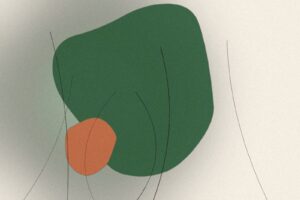 Sådan får du en køkkenhave, der passer sig selv
