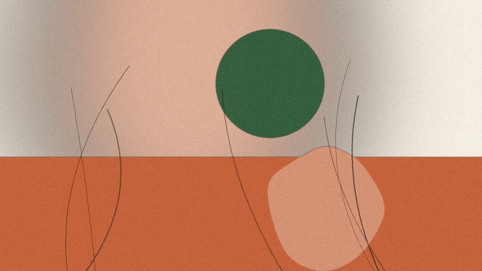Linoleum er tilbage – og det er en god nyhed for dit gulv