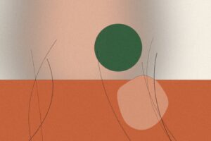 Linoleum er tilbage – og det er en god nyhed for dit gulv